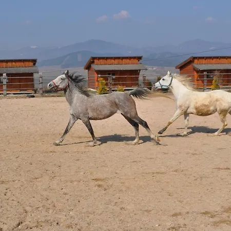 Chatka Ranch Amadeus Parco vacanze