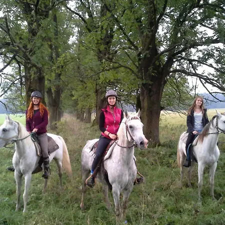 Chatka Ranch Amadeus